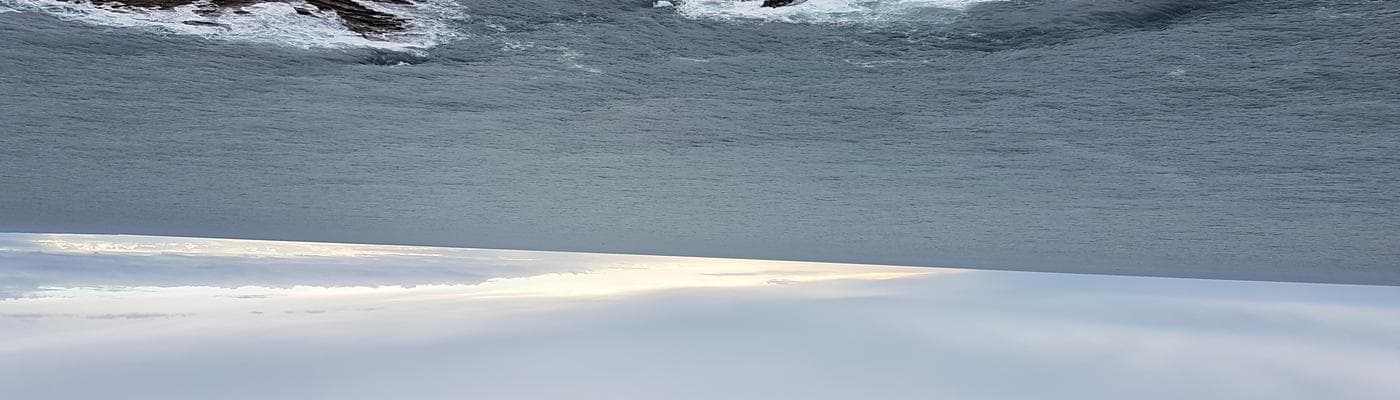Profile cover pic