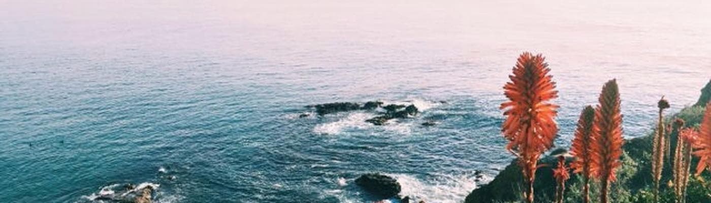 Cover pic
