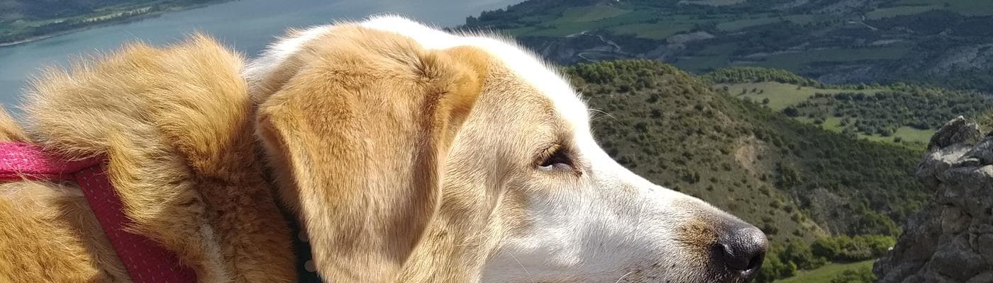 Cover pic