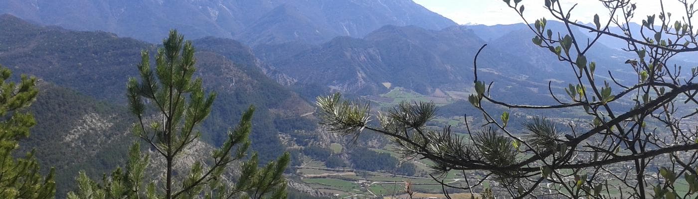 Cover pic