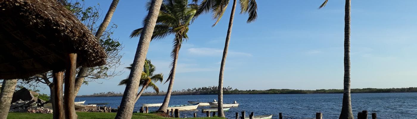 Cover pic