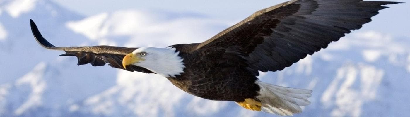 Cover pic