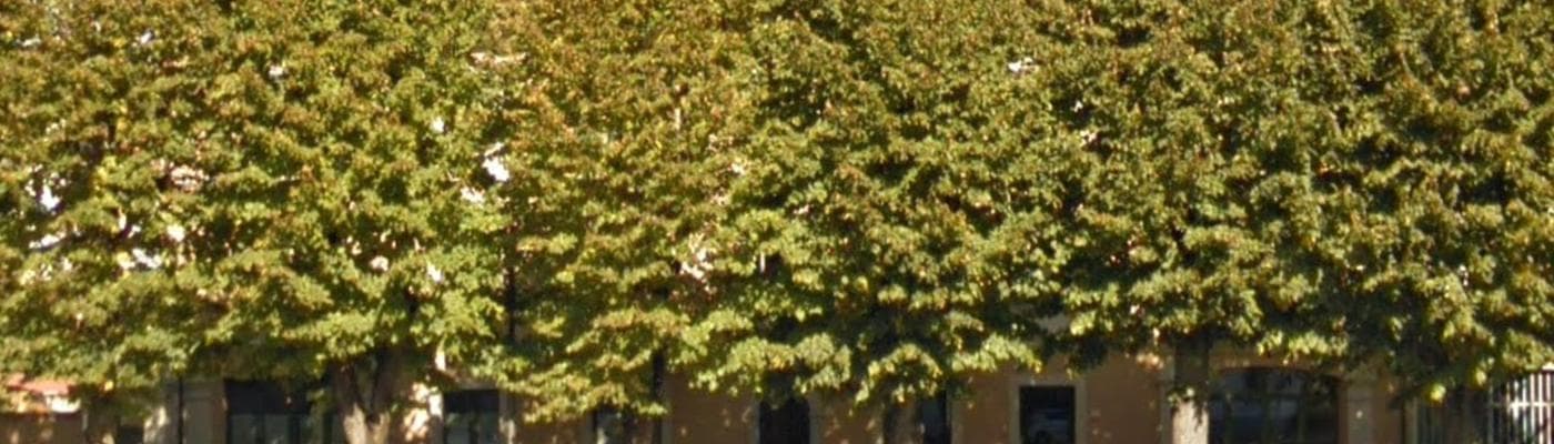 Cover pic
