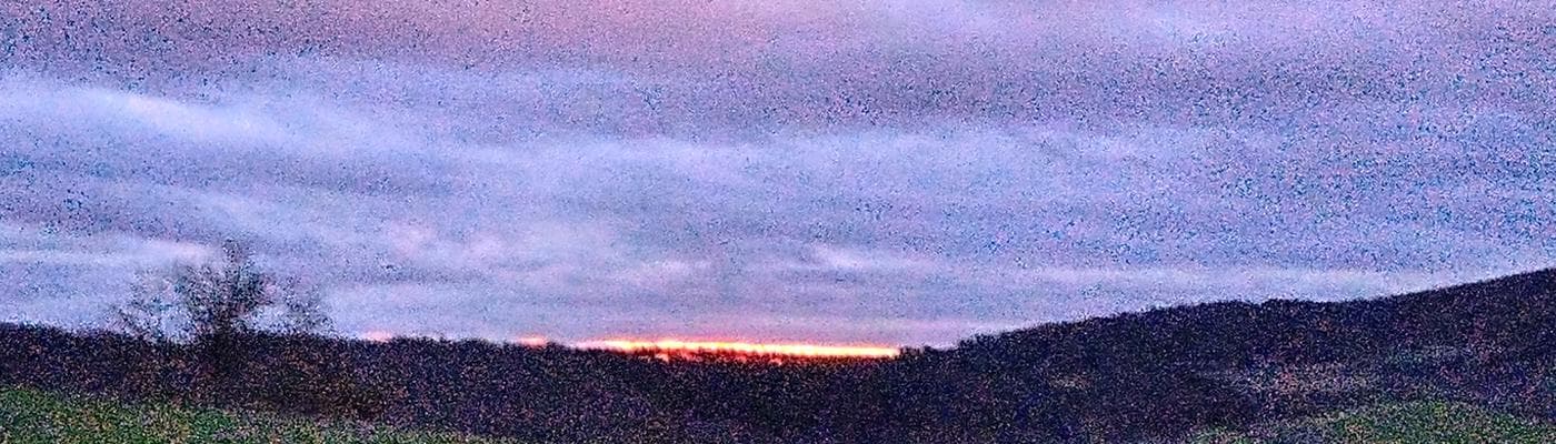 Cover pic