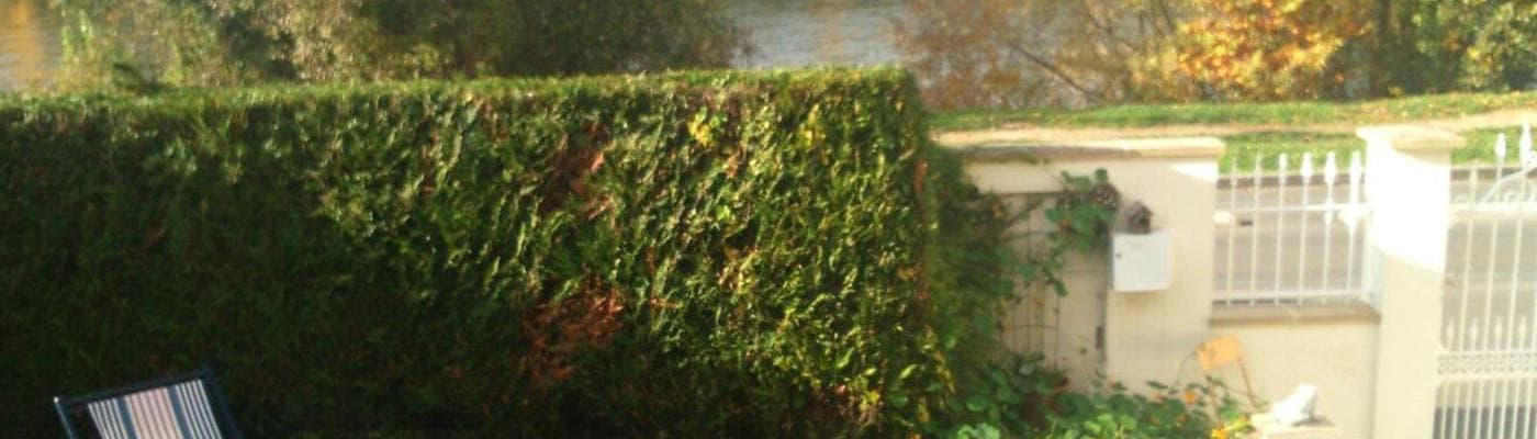 Cover pic