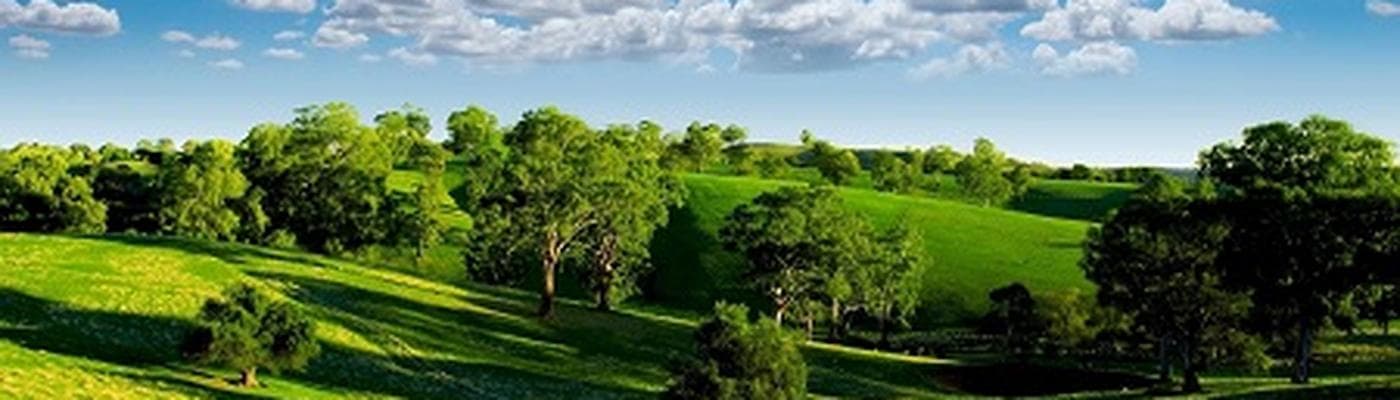 Cover pic