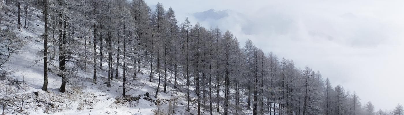 Cover pic