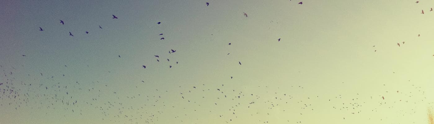 Cover pic