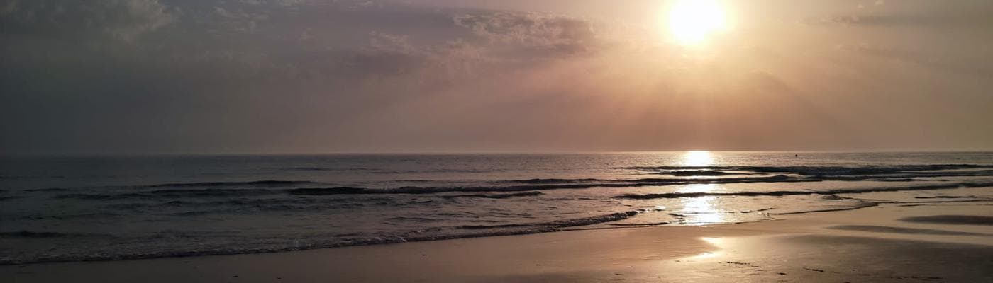 Cover pic
