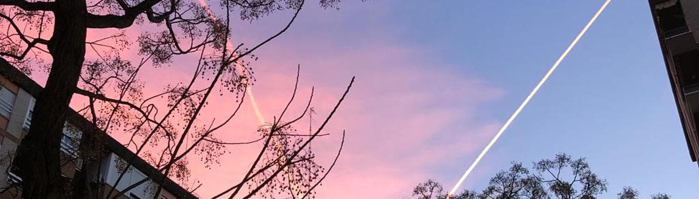 Cover pic