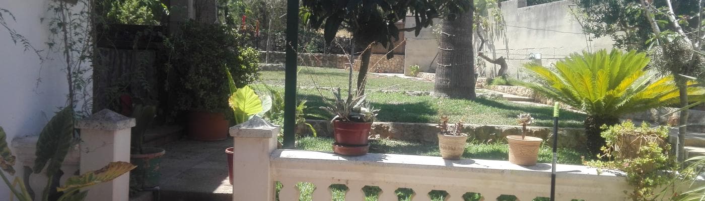 Cover pic