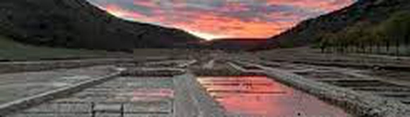 Cover pic