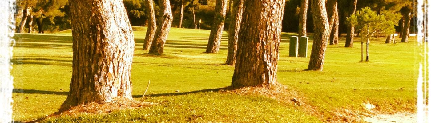 Cover pic