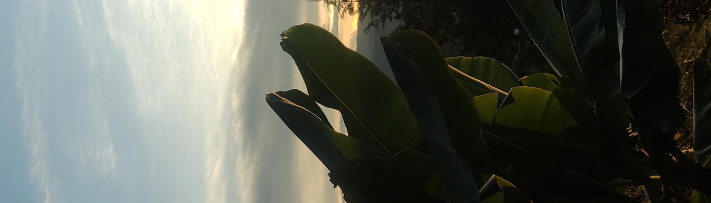 Cover pic