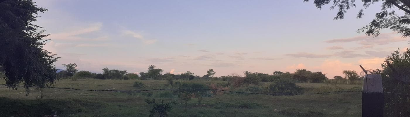 Cover pic