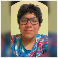 Image profile
